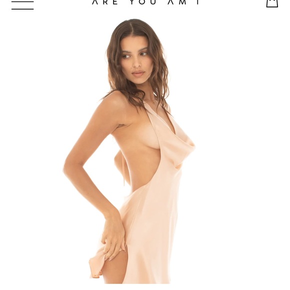 Are You Am I - Willow Dress - Fawn - Picture 2 of 7